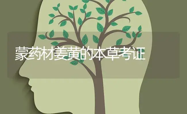 蒙药材姜黄的本草考证 | 特种种植