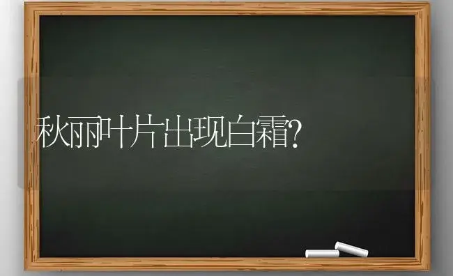 秋丽叶片出现白霜？ | 多肉养殖