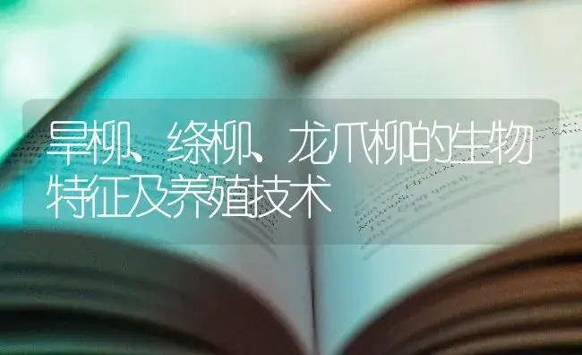 旱柳、绦柳、龙爪柳的生物特征及养殖技术 | 特种种植