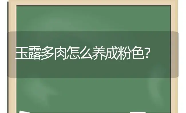 玉露多肉怎么养成粉色？ | 多肉养殖