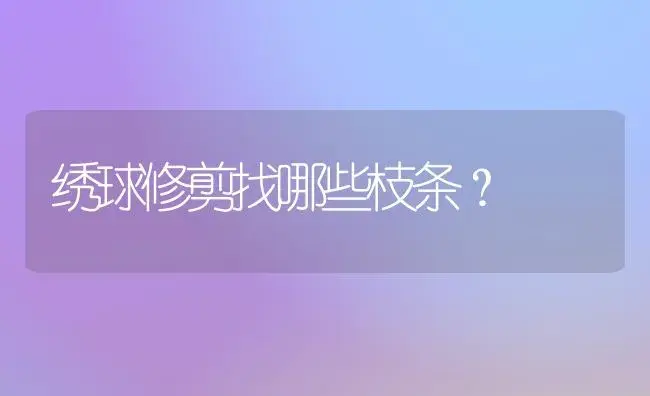 绣球修剪找哪些枝条？ | 绿植常识