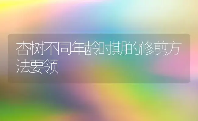 杏树不同年龄时期的修剪方法要领 | 果木种植