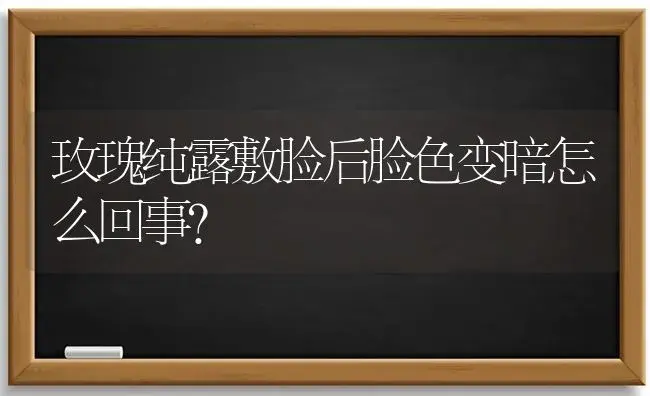 玫瑰纯露敷脸后脸色变暗怎么回事？ | 绿植常识