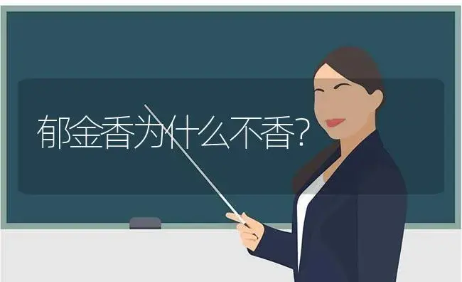 郁金香为什么不香？ | 绿植常识