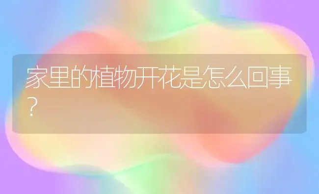 家里的植物开花是怎么回事？ | 多肉养殖