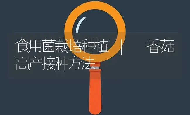 香菇高产接种方法 | 菌菇种植