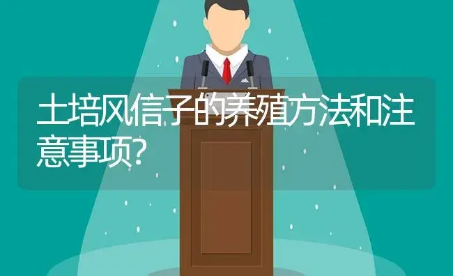 土培风信子的养殖方法和注意事项？ | 绿植常识