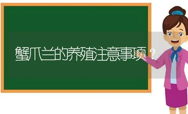 蟹爪兰的养殖注意事项？ | 多肉养殖