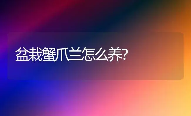 盆栽蟹爪兰怎么养？ | 家庭养花