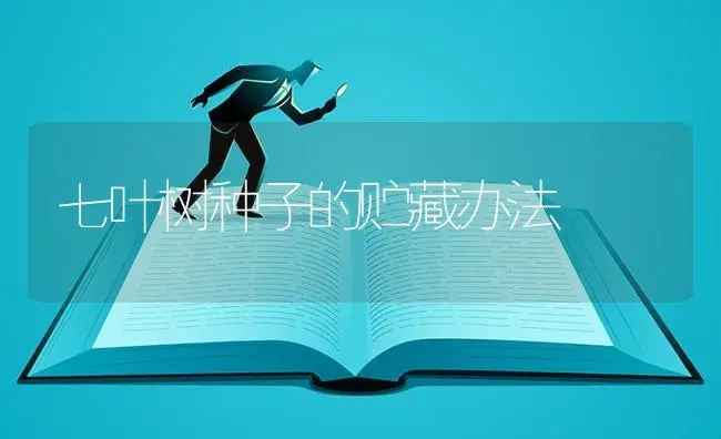 七叶树种子的贮藏办法 | 特种种植