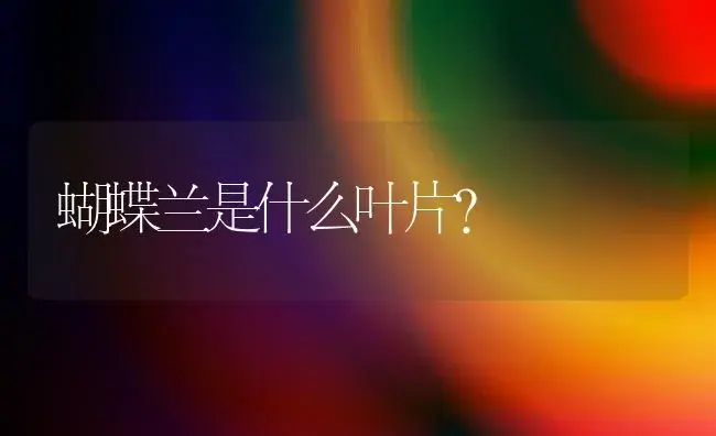 蝴蝶兰是什么叶片？ | 绿植常识