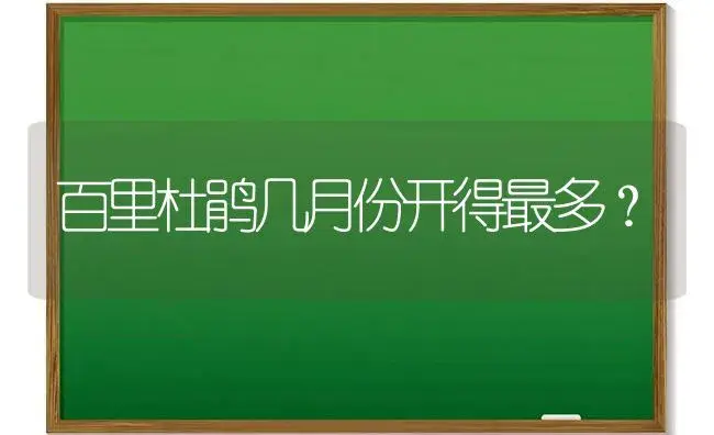 百里杜鹃几月份开得最多？ | 绿植常识