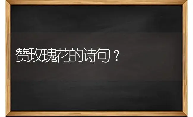 赞玫瑰花的诗句？ | 绿植常识