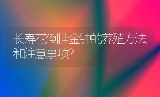 长寿花倒挂金钟的养殖方法和注意事项？ | 多肉养殖