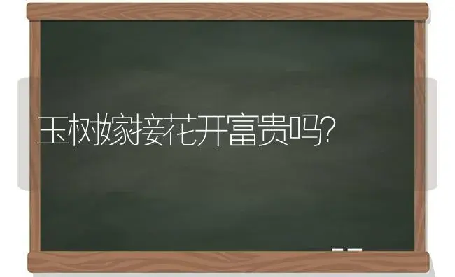 玉树嫁接花开富贵吗？ | 多肉养殖