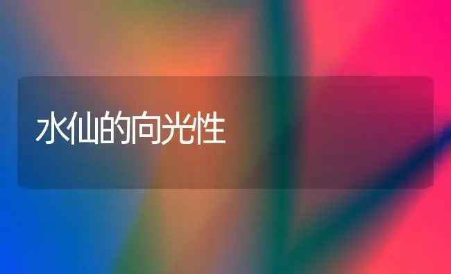 对正人兰损害最年夜的有哪几种病害?怎样预防? | 家庭养花