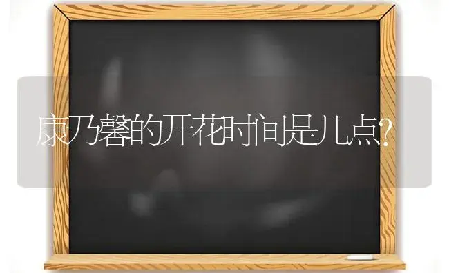 康乃馨的开花时间是几点？ | 绿植常识