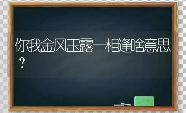 你我金风玉露一相逢啥意思？ | 多肉养殖