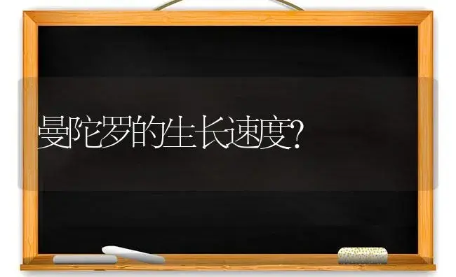 曼陀罗的生长速度？ | 绿植常识