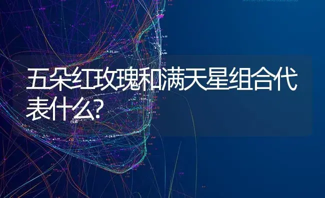 五朵红玫瑰和满天星组合代表什么? | 绿植常识