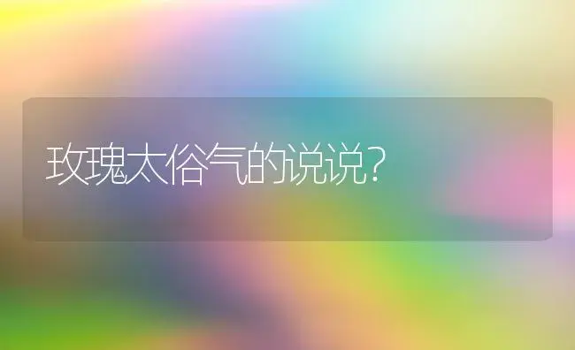 玫瑰太俗气的说说？ | 绿植常识