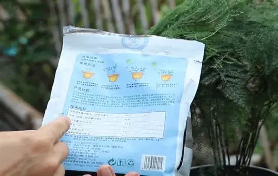 盆景养护管理 | 文竹盆土板结不翻盆怎么改良土壤