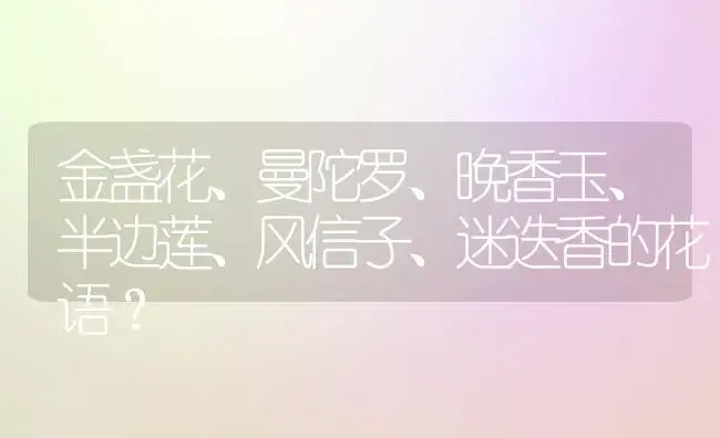 金盏花、曼陀罗、晚香玉、半边莲、风信子、迷迭香的花语？ | 绿植常识