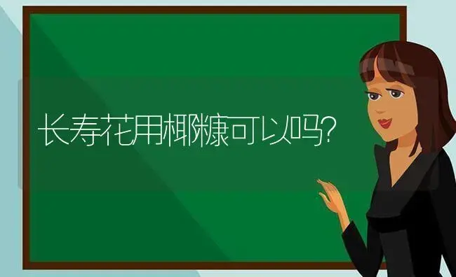 长寿花用椰糠可以吗？ | 多肉养殖