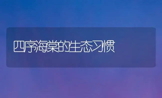 四序海棠的生态习惯 | 家庭养花