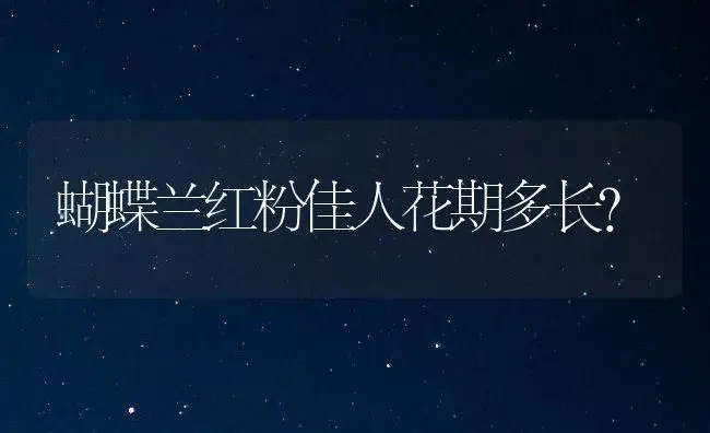 蝴蝶兰红粉佳人花期多长？ | 绿植常识