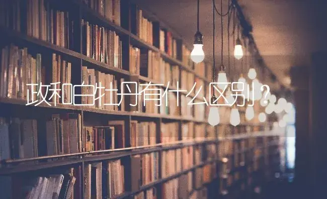 政和白牡丹有什么区别？ | 多肉养殖