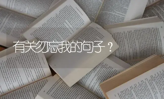 有关勿忘我的句子？ | 绿植常识