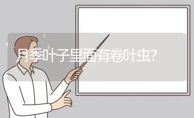 月季叶子里面有卷叶虫？ | 绿植常识