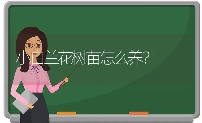 目光所至皆是美好全文？ | 绿植常识