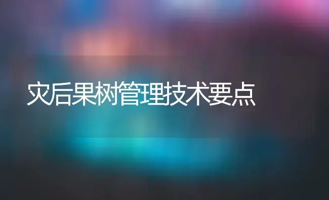 灾后果树管理技术要点 | 果木种植