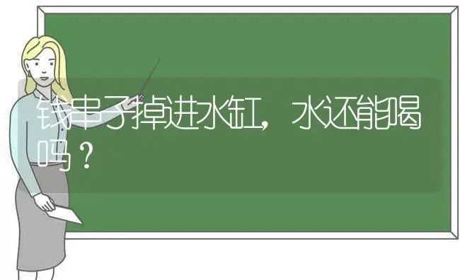 钱串子掉进水缸,水还能喝吗？ | 多肉养殖