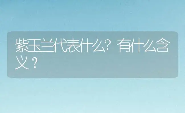 紫玉兰代表什么?有什么含义？ | 绿植常识