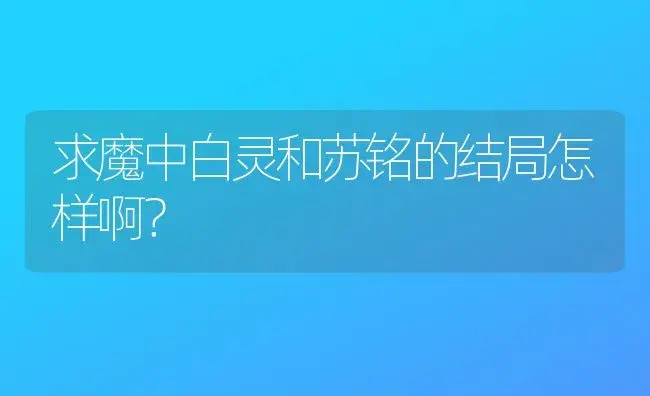 求魔中白灵和苏铭的结局怎样啊？ | 多肉养殖