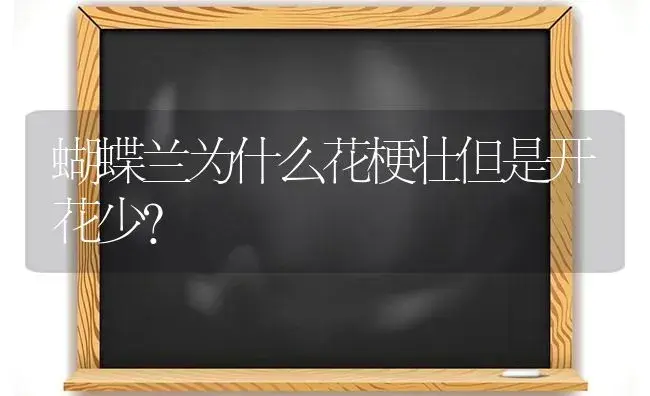 蝴蝶兰为什么花梗壮但是开花少？ | 绿植常识