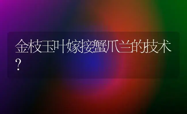 金枝玉叶嫁接蟹爪兰的技术？ | 多肉养殖