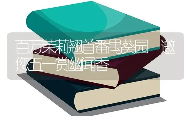 百万茉莉翘首番禺葵园 邀您五一赏幽闻香 | 特种种植