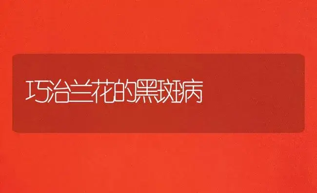 常春藤成长环境 | 家庭养花