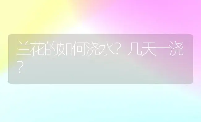 诗经描写月季的诗有哪些？ | 绿植常识