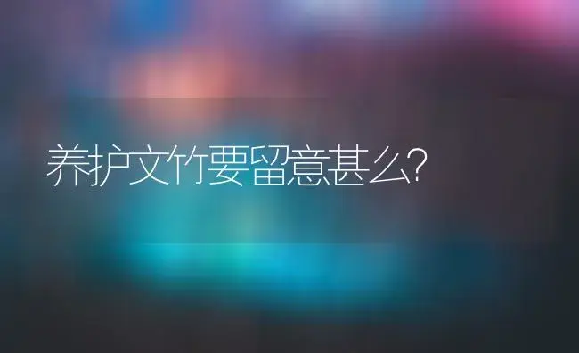 养护文竹要留意甚么？ | 家庭养花