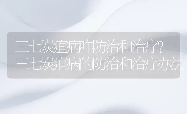 三七炭疽病咋防治和治疗？三七炭疽病的防治和治疗办法 | 药材种植