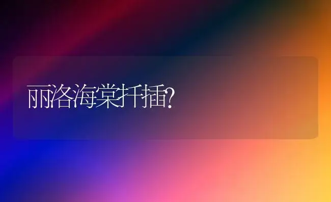 丽洛海棠扦插？ | 绿植常识