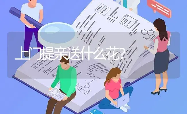 上门提亲送什么花？ | 绿植常识