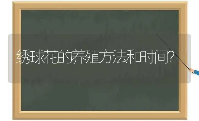 绣球花的养殖方法和时间？ | 绿植常识