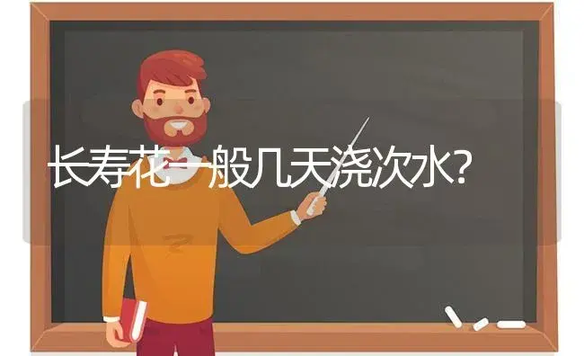 长寿花一般几天浇次水？ | 多肉养殖