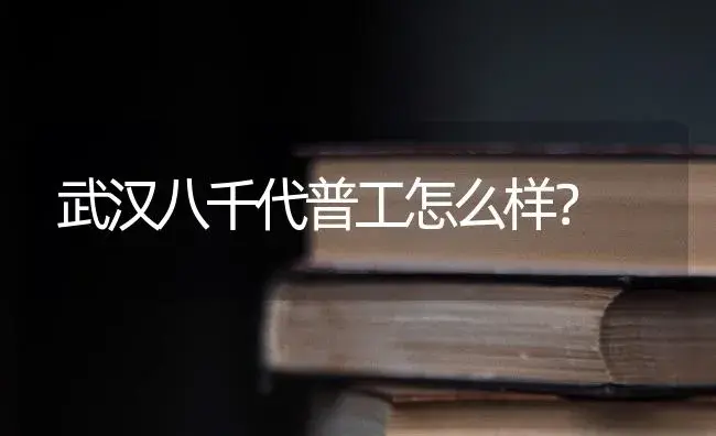 武汉八千代普工怎么样？ | 多肉养殖